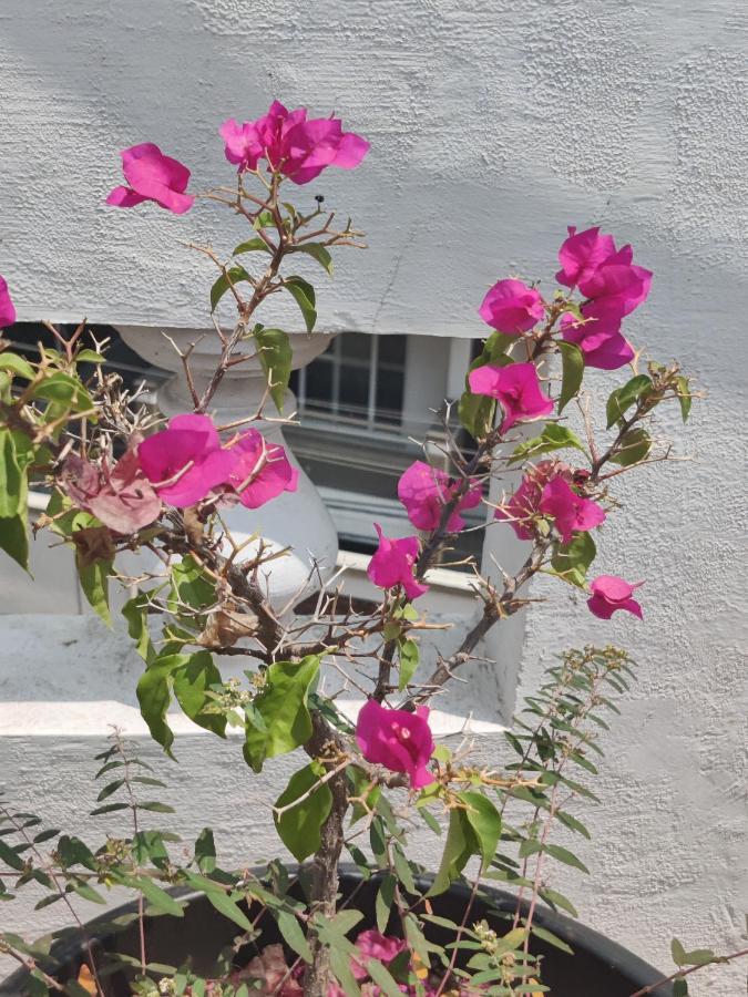 Yoga House Apartment Vanivilasa Puram Exterior foto