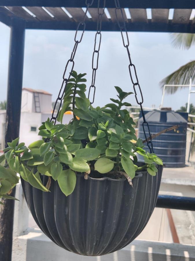 Yoga House Apartment Vanivilasa Puram Exterior foto